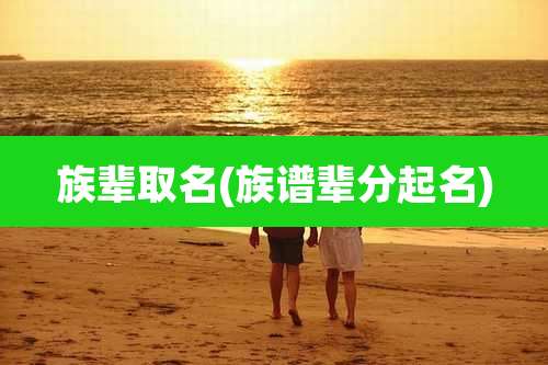 族辈取名(族谱辈分起名)