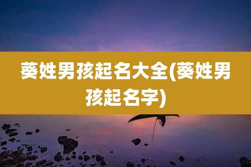 葵姓男孩起名大全(葵姓男孩起名字)
