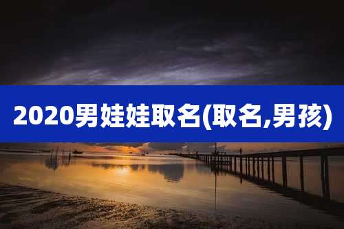 2020男娃娃取名(取名,男孩)
