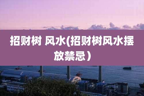 招财树 风水(招财树风水摆放禁忌）