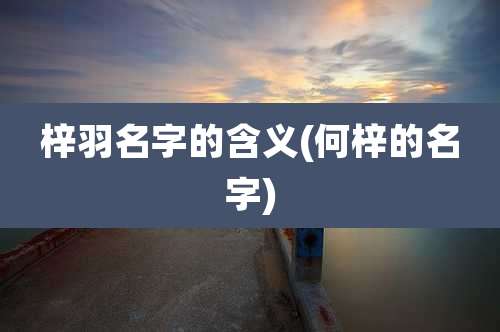 梓羽名字的含义(何梓的名字)