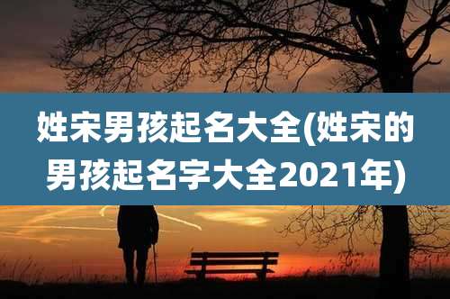姓宋男孩起名大全(姓宋的男孩起名字大全2021年)