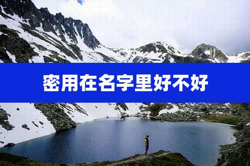 密用在名字里好不好