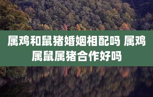 属鸡和鼠猪婚姻相配吗 属鸡属鼠属猪合作好吗