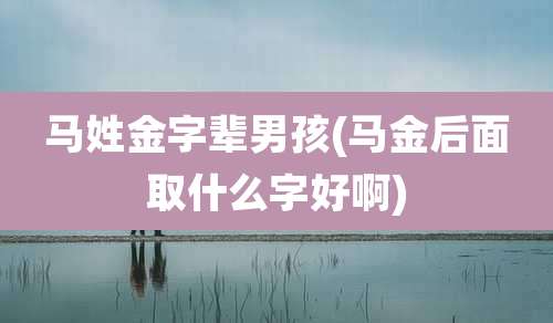 马姓金字辈男孩(马金后面取什么字好啊)