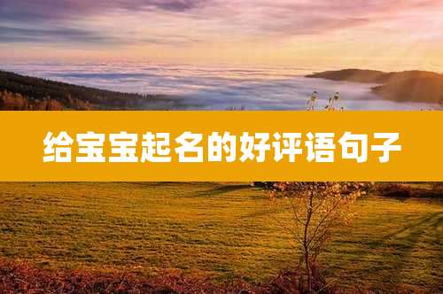 给宝宝起名的好评语句子