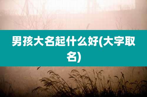 男孩大名起什么好(大字取名)