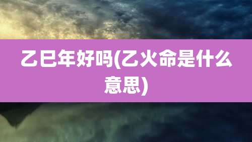 乙巳年好吗(乙火命是什么意思)