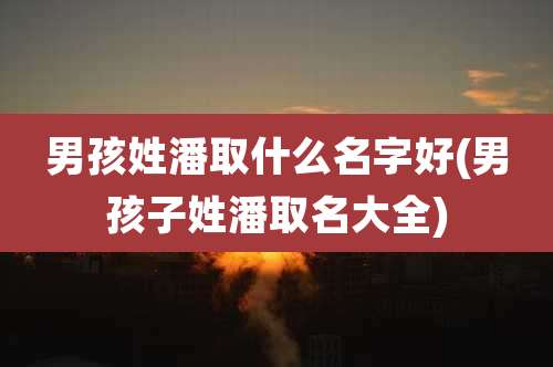男孩姓潘取什么名字好(男孩子姓潘取名大全)