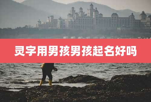 灵字用男孩男孩起名好吗