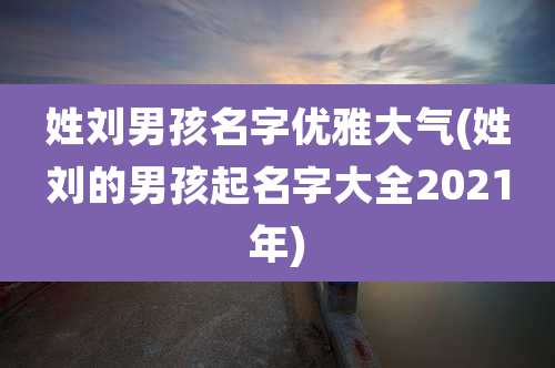 姓刘男孩名字优雅大气(姓刘的男孩起名字大全2021年)