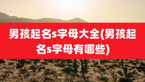 男孩起名s字母大全(男孩起名s字母有哪些)