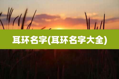 耳环名字(耳环名字大全)