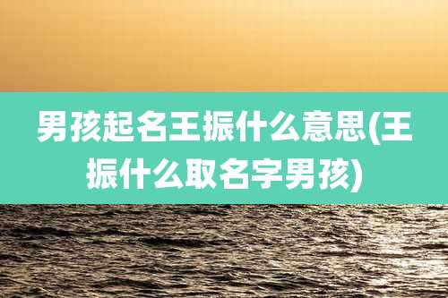 男孩起名王振什么意思(王振什么取名字男孩)