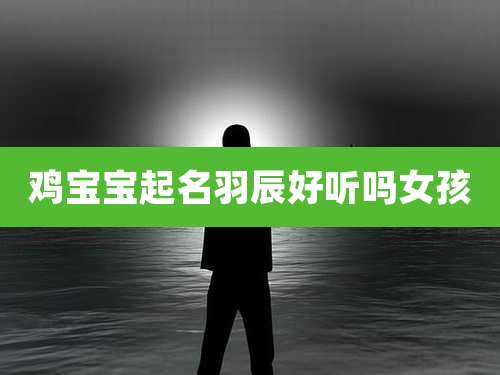 鸡宝宝起名羽辰好听吗女孩