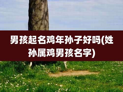 男孩起名鸡年孙子好吗(姓孙属鸡男孩名字)