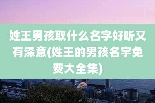 姓王男孩取什么名字好听又有深意(姓王的男孩名字免费大全集)