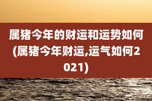 属猪今年的财运和运势如何(属猪今年财运,运气如何2021)