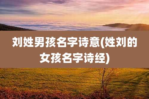 刘姓男孩名字诗意(姓刘的女孩名字诗经)