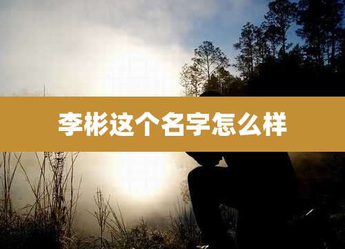 李彬这个名字怎么样