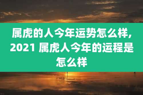属虎的人今年运势怎么样,2021 属虎人今年的运程是怎么样