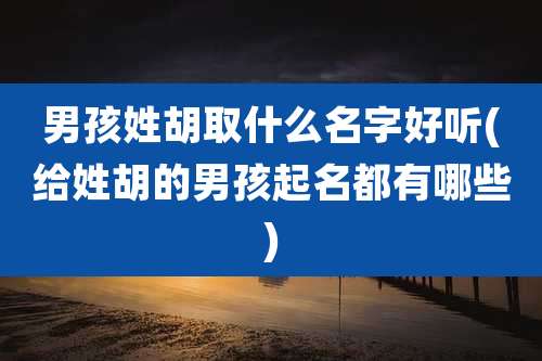 男孩姓胡取什么名字好听(给姓胡的男孩起名都有哪些)