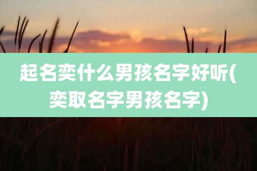 起名奕什么男孩名字好听(奕取名字男孩名字)