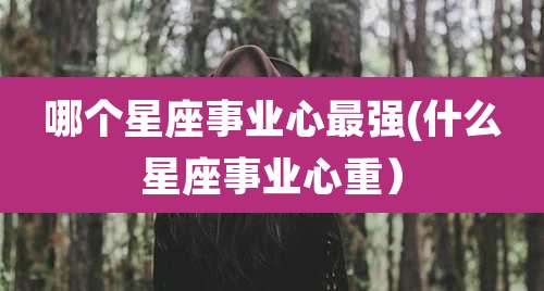 哪个星座事业心最强(什么星座事业心重）