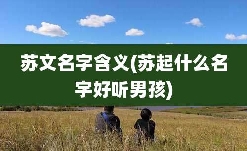 苏文名字含义(苏起什么名字好听男孩)