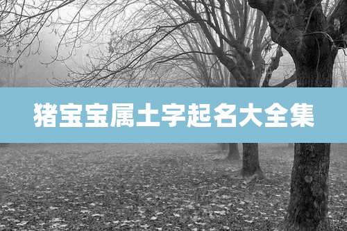 猪宝宝属土字起名大全集