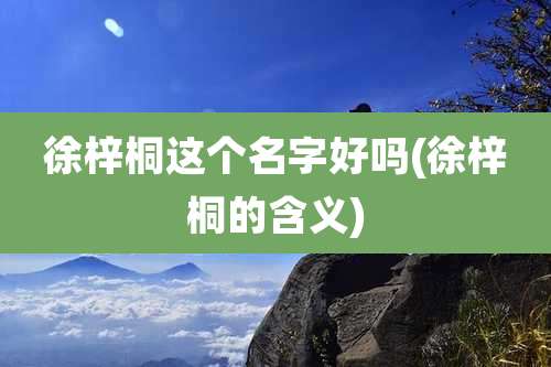 徐梓桐这个名字好吗(徐梓桐的含义)