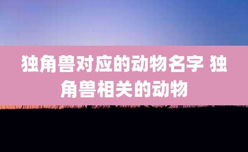 独角兽对应的动物名字 独角兽相关的动物