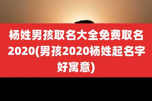 杨姓男孩取名大全免费取名2020(男孩2020杨姓起名字好寓意)