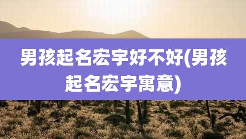 男孩起名宏宇好不好(男孩起名宏宇寓意)