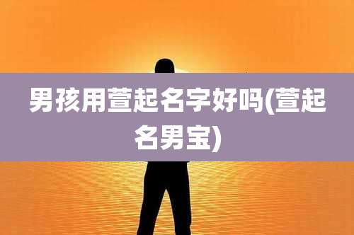 男孩用萱起名字好吗(萱起名男宝)
