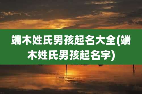 端木姓氏男孩起名大全(端木姓氏男孩起名字)