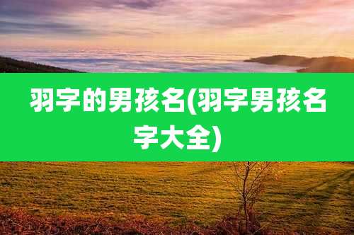 羽字的男孩名(羽字男孩名字大全)
