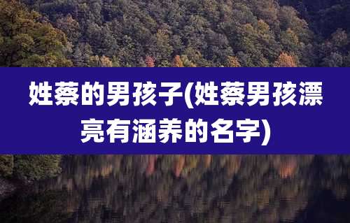 姓蔡的男孩子(姓蔡男孩漂亮有涵养的名字)