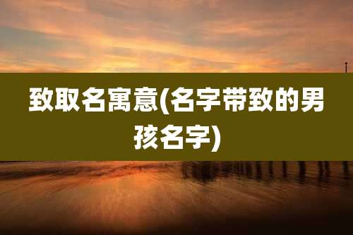 致取名寓意(名字带致的男孩名字)