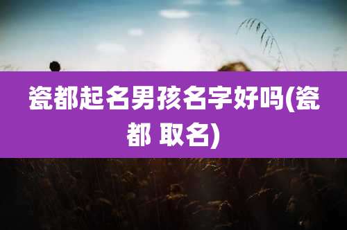 瓷都起名男孩名字好吗(瓷都 取名)