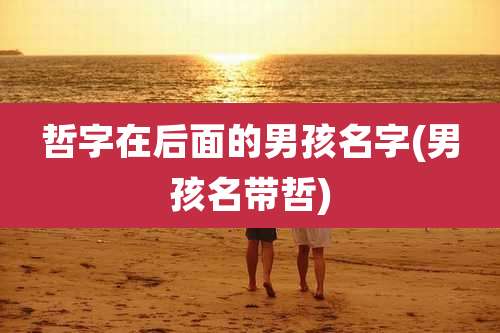 哲字在后面的男孩名字(男孩名带哲)