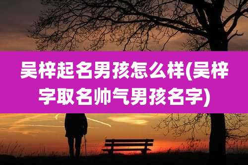 吴梓起名男孩怎么样(吴梓字取名帅气男孩名字)