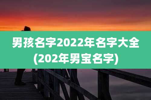 男孩名字2022年名字大全(202年男宝名字)