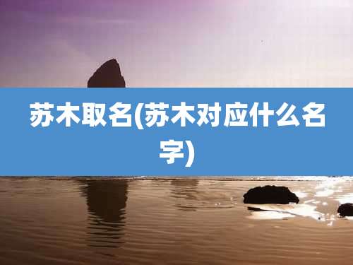 苏木取名(苏木对应什么名字)