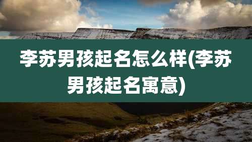 李苏男孩起名怎么样(李苏男孩起名寓意)