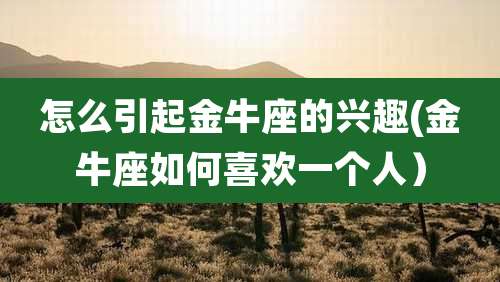 怎么引起金牛座的兴趣(金牛座如何喜欢一个人)