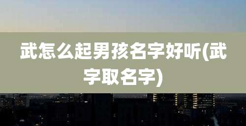 武怎么起男孩名字好听(武字取名字)
