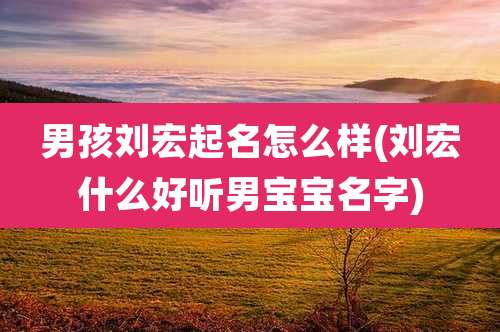 男孩刘宏起名怎么样(刘宏什么好听男宝宝名字)