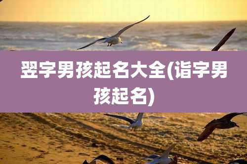 翌字男孩起名大全(诣字男孩起名)