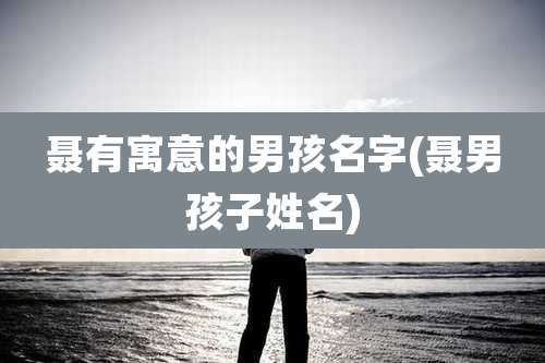 聂有寓意的男孩名字(聂男孩子姓名)